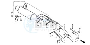 TRX300EX SPORTRAX 300EX drawing EXHAUST MUFFLER