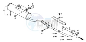 TRX250TMC drawing MUFFLER