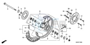 CRF150R9 Europe Direct - (ED) drawing REAR WHEEL