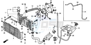 CB600F2 CB600F drawing RADIATOR