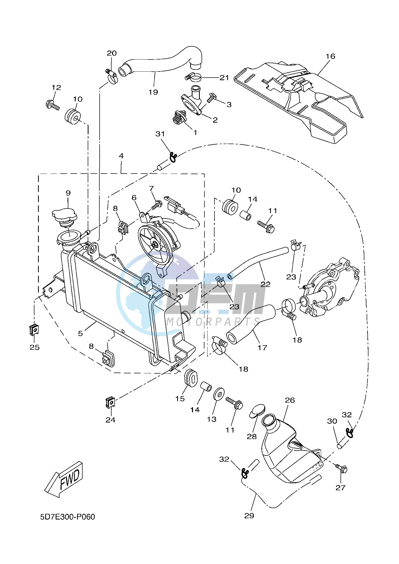 RADIATOR & HOSE