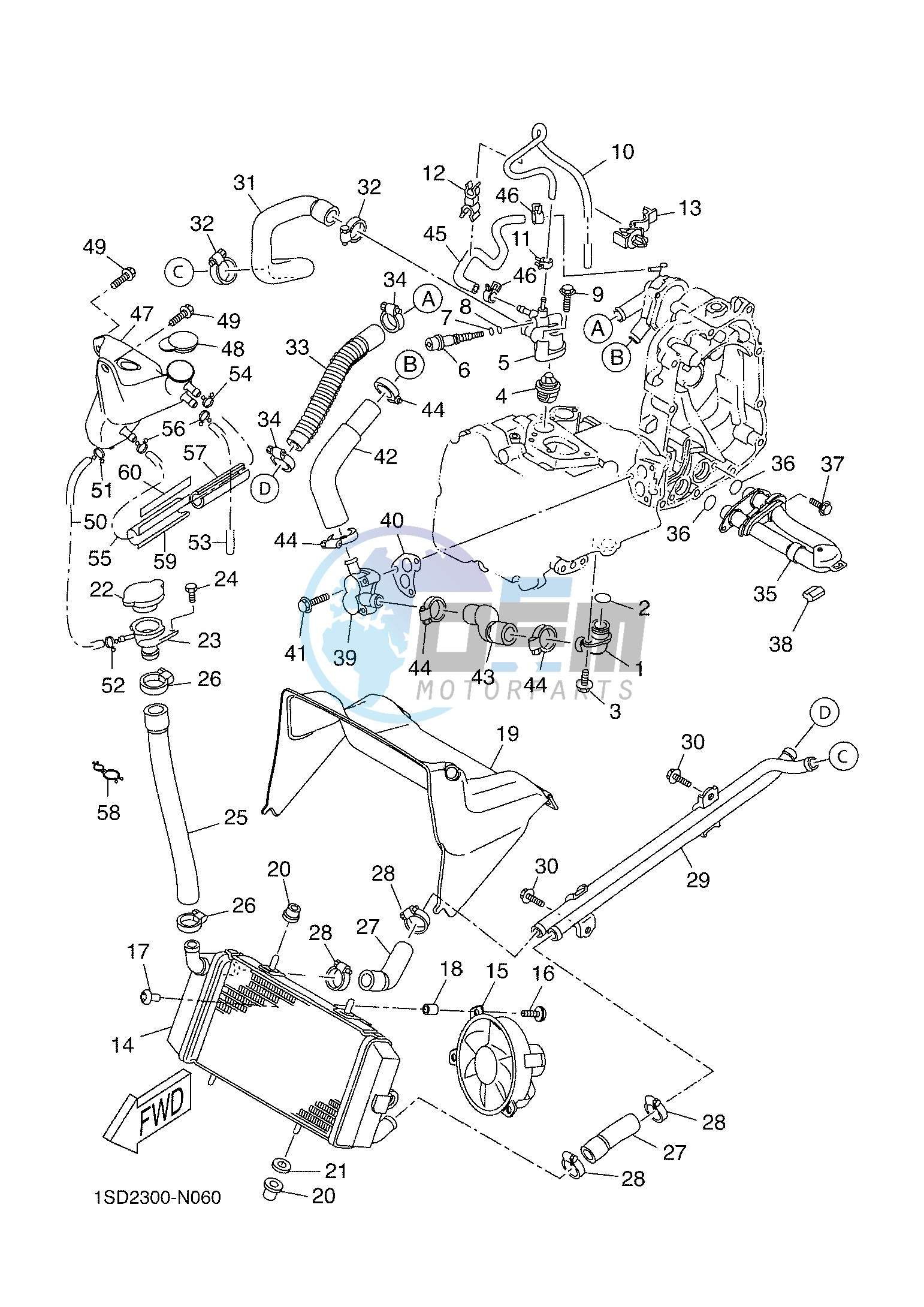 RADIATOR & HOSE