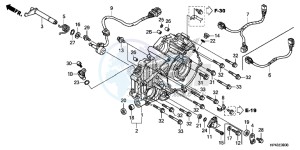 TRX420FED TRX420 Europe Direct - (ED) drawing REAR CRANKCASE COVER