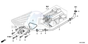 TRX500FE1G TRX500 Europe Direct - (ED) drawing WATER PUMP COVER