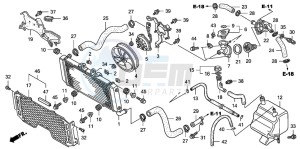 CB1300S CB1300SUPERBOLD'OR drawing RADIATOR (CB1300A/SA)