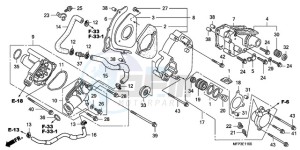 CB1300A9 Europe Direct - (ED / ABS MME TWO) drawing LEFT REAR COVER/WATER PUM P