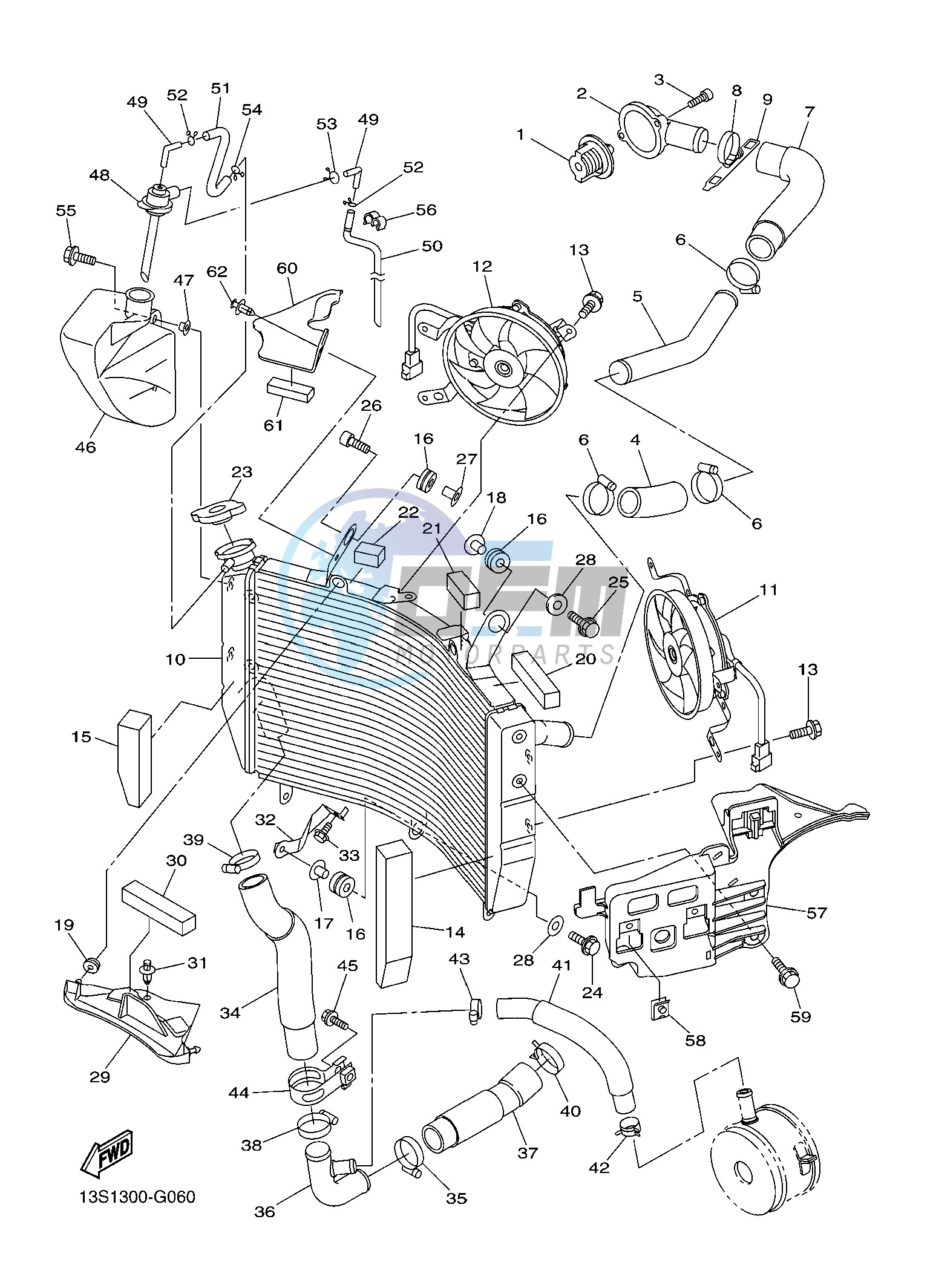 RADIATOR & HOSE