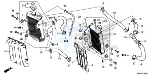 CRF250RF CRF250R Europe Direct - (ED) drawing RADIATOR