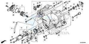 TRX500FE1F TRX500F Europe Direct - (ED) drawing FRONT CRANKCASE COVER