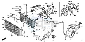 CB600F2 HORNET S drawing RADIATOR