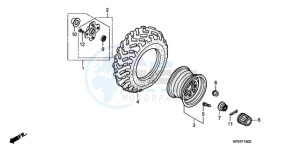 TRX500FEA Australia - (U / EC) drawing REAR WHEEL