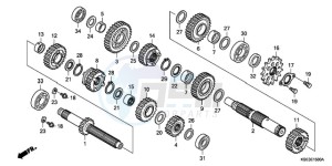 CRF150RB9 Europe Direct - (ED / T19 2ED) drawing TRANSMISSION