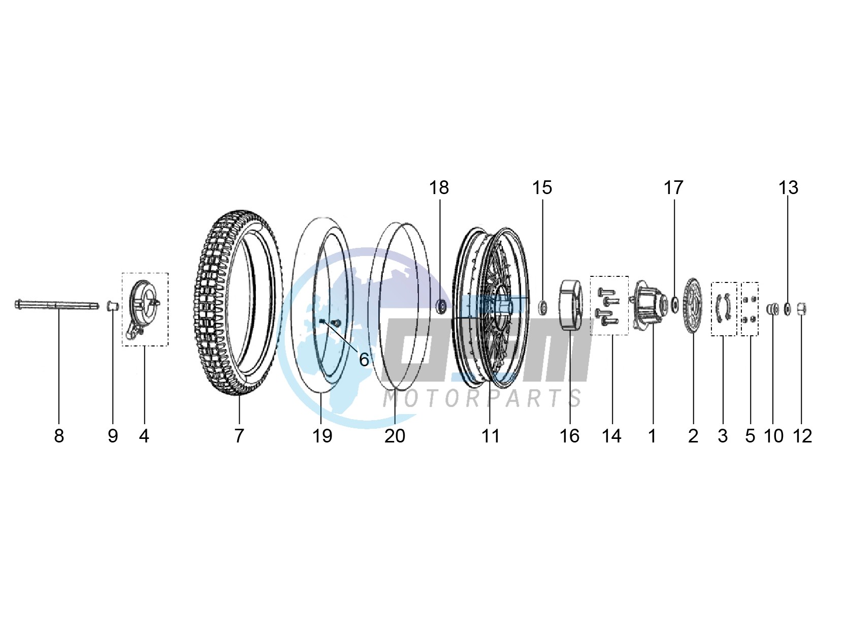 Rear wheel with spokes