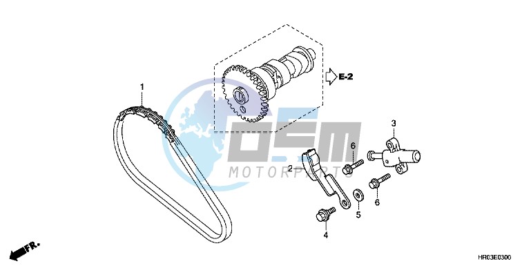 CAM CHAIN/ TENSIONER