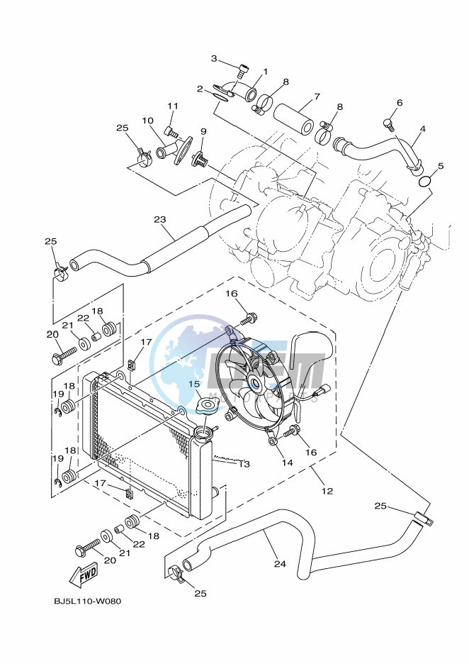 RADIATOR & HOSE