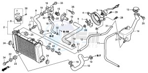 CBR125RS drawing RADIATOR (CBR125R/RS/RW5/RW6/RW8)