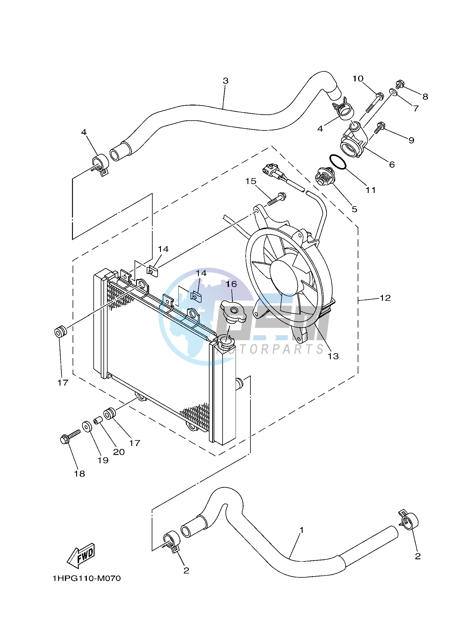 RADIATOR & HOSE