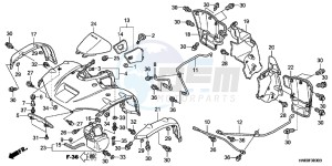 TRX680FAC drawing FRONT FENDER