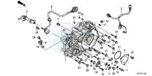 TRX420FAD TRX420 Europe Direct - (ED) drawing REAR CRANKCASE COVER