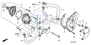 CB600FA Europe Direct - (ED / 25K) drawing WATER PUMP