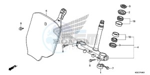 CRF150RD CRF150R Europe Direct - (ED) drawing STEERING STEM