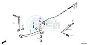 CRF50FD CRF50F Europe Direct - (ED) drawing BRAKE PEDAL/KICK STARTER ARM