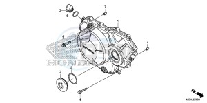 VFR1200X Europe Direct - (ED) drawing RIGHT CRANKCASE COVER (VFR1200X/XA/XL)