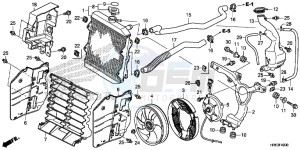 TRX500FM5G TRX500FM Australia - (U) drawing RADIATOR