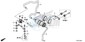 CBR1000S1 2ED - (2ED) drawing CANISTER