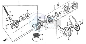 GL1500C F6C drawing OIL PUMP