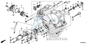 TRX420FM2E TRX420 Europe Direct - (ED) drawing FRONT CRANKCASE COVER (TRX420FE1/FM1/FM2/TE1/TM1)