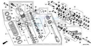 CRF450RD CRF450R Europe Direct - (ED) drawing REAR CUSHION