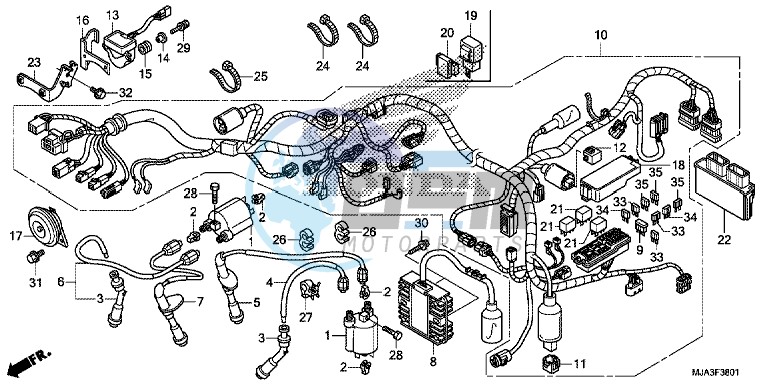 WIRE HARNESS (VT750CS/C2S)