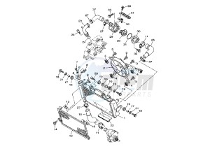 TDM 900 drawing RADIATOR-HOSE