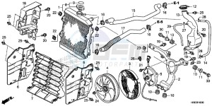 TRX500FA6G TRX500FA Australia - (U) drawing RADIATOR