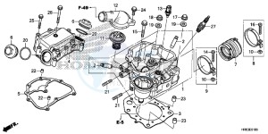 TRX500FA6G TRX500FA Australia - (U) drawing CYLINDER HEAD