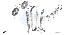 CRF450XC drawing CAM CHAIN/TENSIONER