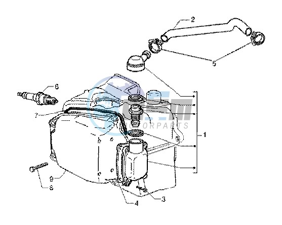 Oil drain valve