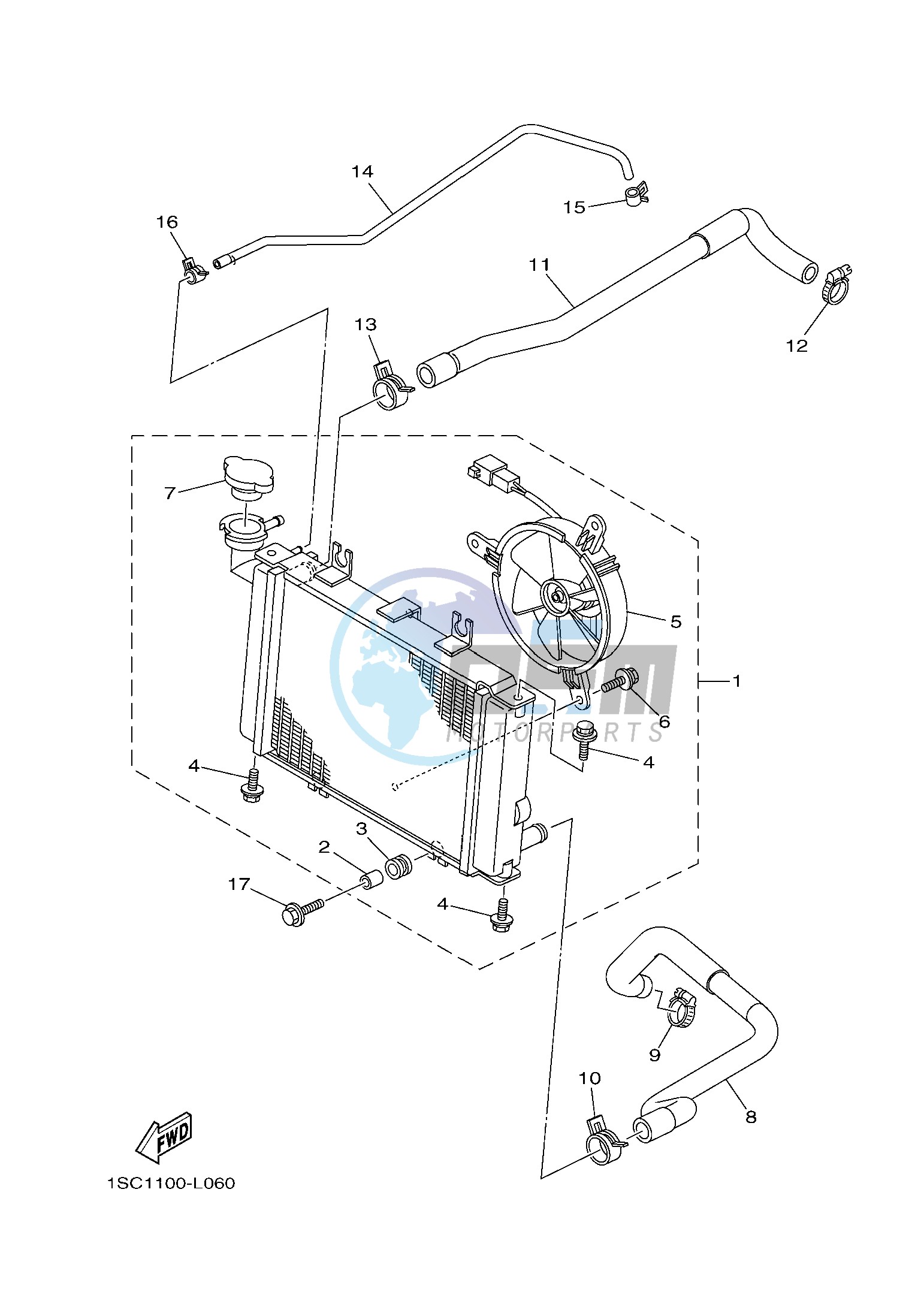 RADIATOR & HOSE