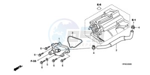 TRX420FEA Australia - (U / 4WD) drawing WATER PUMP COVER