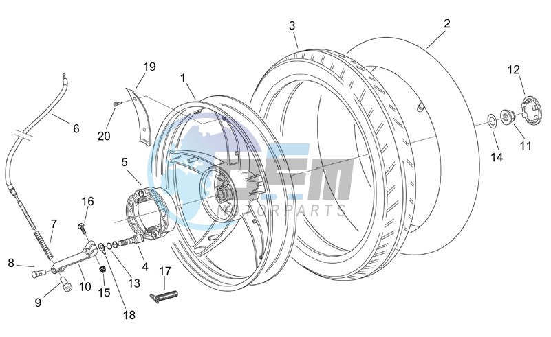 Rear wheel - drum brake