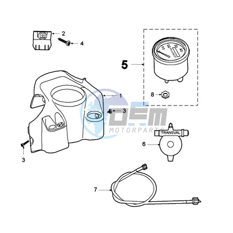 SPEEDOMETER M11 NUT