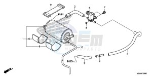 VFR1200XD Europe Direct - (ED) drawing CANISTER