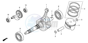 TRX420TE FOURTRAX ES drawing CRANKSHAFT/PISTON