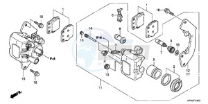 CBR650FAG CBR650F 6ED - (6ED) drawing FRONT BRAKE CALIPER