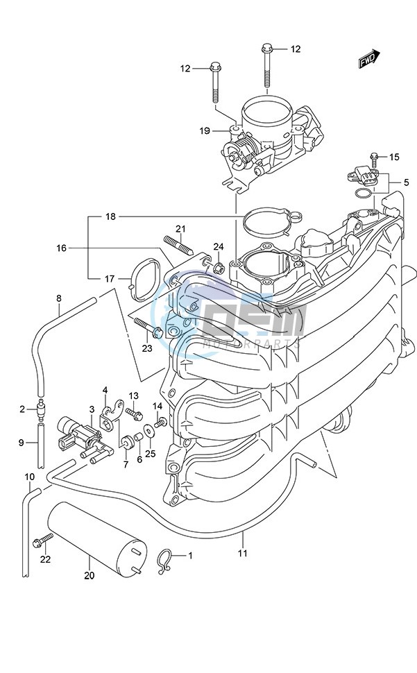 Intake Manifold/Throttle Body (Model: TG/ZG)