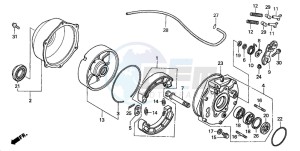 TRX350TM RANCHER drawing REAR BRAKE PANEL