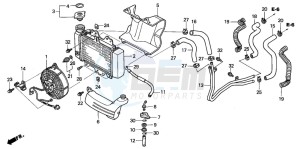 SH150 125 drawing RADIATOR