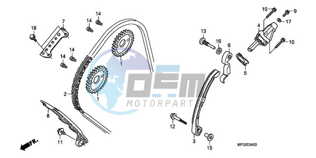 CAM CHAIN/TENSIONER