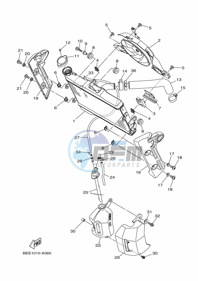 RADIATOR & HOSE